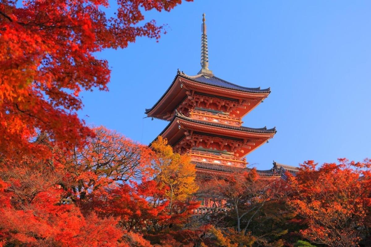 Hotel Tenjin Kioto Zewnętrze zdjęcie